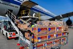 Et fly fra Air China landede lørdag 21. marts i lufthavnen i Athen med 500.000 beskyttelsesmasker til landets kamp mod coronavirus.   Foto: Aris Messinis/Ritzau Scanpix