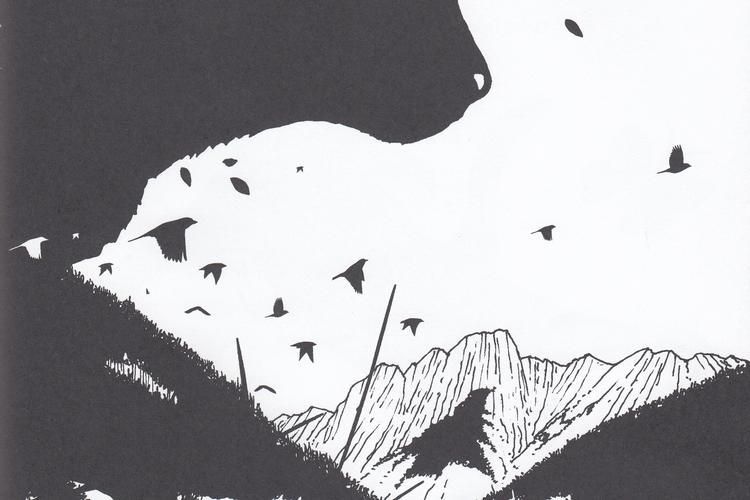 Illustration fra bogen 