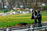 I Central Park på Manhatten i New York City bygger Mount Sinai West Hospital midlertidige hospitalsbygninger inde i selve parken for at kunne huse et rykind af coronapatienter. Foto: Kena Betancur/Ritzau Scanpix