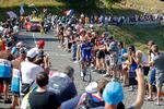  Tilskuerne plejer at flokkes omkring vejene, når Tour de France-feltet bevæger sig gennem Frankrig. Det bliver måske helt anderledes denne sommer. Foto: Stephane Mahe/Ritzau Scanpix