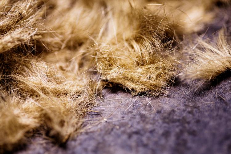 Selv med en ordentlig saks og nogle gode fif, kan hjemmeklipningen alligevel let gå galt.   Foto: Miriam Dalsgaard/POLFOTO