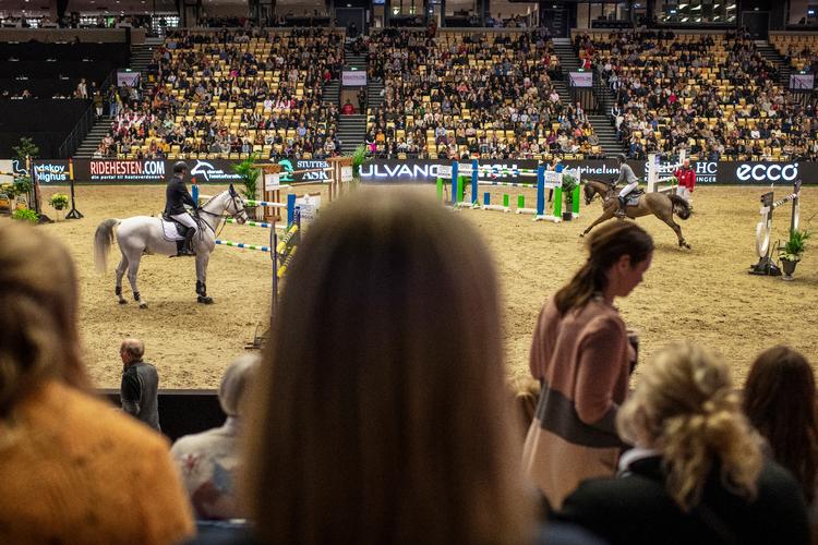     Corona - Hestemesse i Herning. En stor hestemesse i Herning kan være årsagen til de mange smittede i området. Foto: Joachim Ladefoged