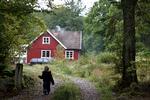 Flere end 8.500 danskere har et fritidshus i Sverige. Og det er ikke altid lige nemt, når huset skal sættes til salg og kun minderne står tilbage. Foto: Niels Hougaard/POLFOTO