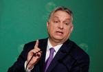 Ungarn med regeringschef Orban i spidsen er et af det tre lande, der bliver dømt ved EU-domstolen.  Foto: Bernadett Szabo/Ritzau Scanpix