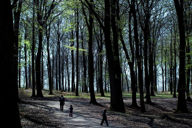 Foto: Niels Hougaard/POLFOTO