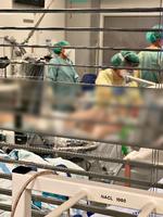Foto: Claus Lund/Hvidovre Hospital