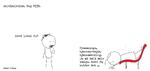web_maren_2020-04-08
