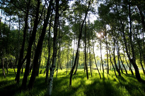 Foto: Thomas Borberg/POLFOTO