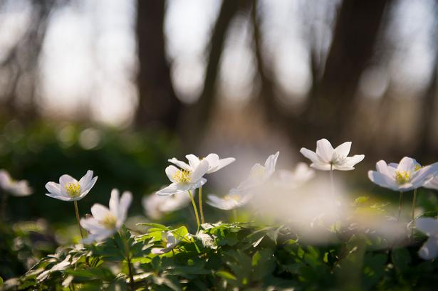 Foto: Olivia Loftlund