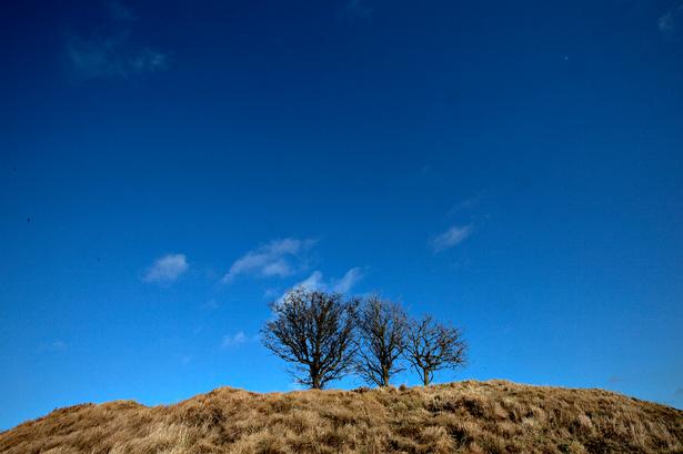 Foto: Per Folkver/POLFOTO