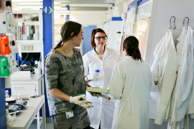 Studerende, som mangler adgang til laboratorier eller informationssøgning på biblioteket er dem, der kan forvente at få hjælp først på Syddansk Universitet. Arkivfoto Janus Engel