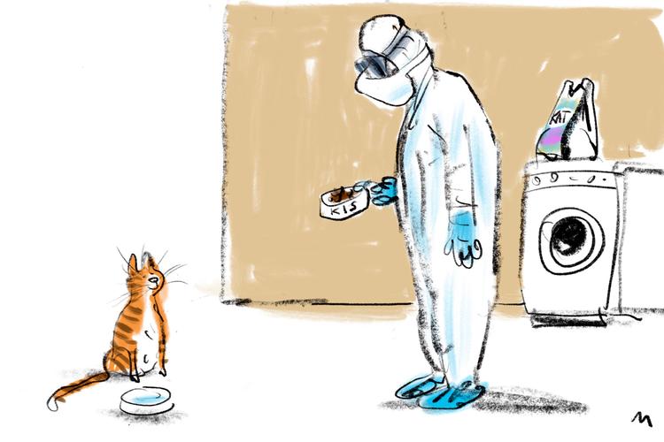 Foto: Mette Dreyer/POLITIKEN