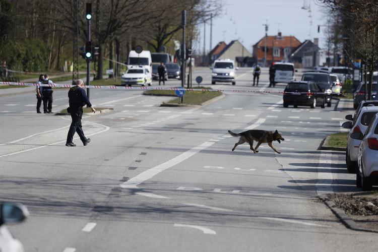 Foto: Jens Dresling/POLFOTO