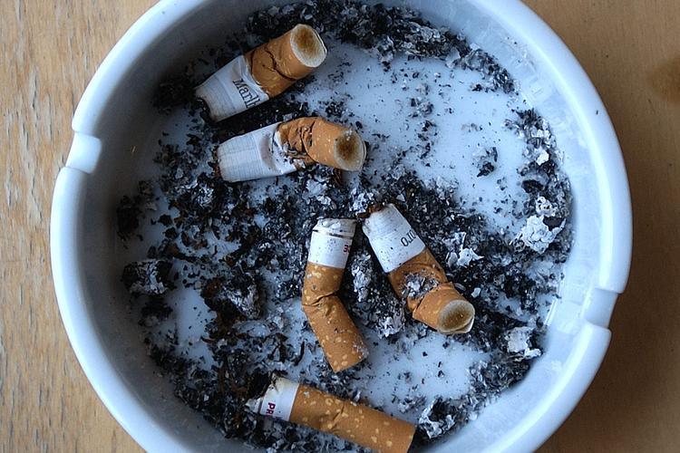 Foto: Finn Frandsen/POLFOTO