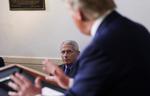 Anthony Fauci lytter til præsident Trump tale på en pressebriefing 13. april. Fauci har tidligere sagt præsidenten imod under coronakrisen. Men fyring er ikke på bordet, siger Trump. Foto: Leah Millis/Ritzau Scanpix