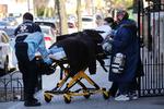 En patient bliver transporteret ind i en ambulance i New York, der er det hårdst ramte område i USA.  Foto: Spencer Platt/Ritzau Scanpix