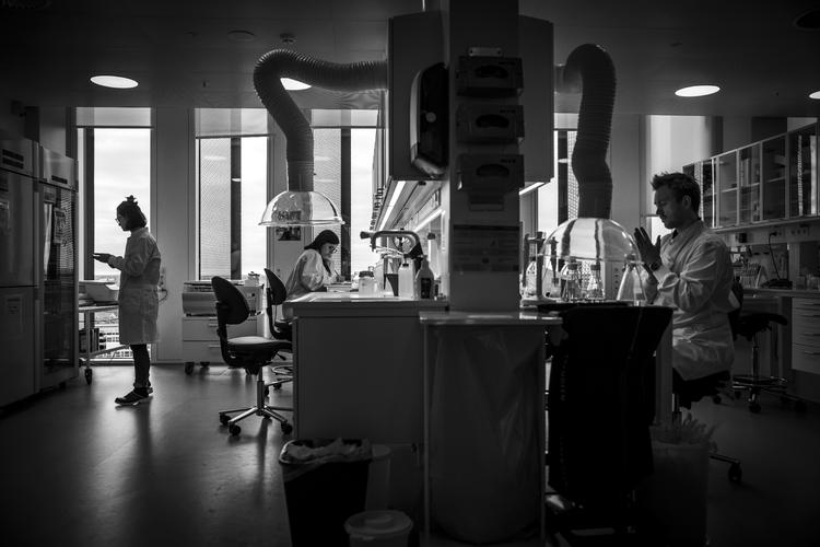     Forskere arbejder på højtryk med at udvikle vaccine og behandling mod coronavirus. Foto: Jens Hartmann Schmidt/POLFOTO