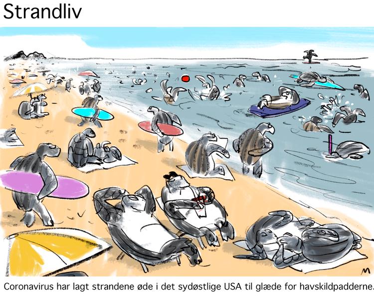 Foto: Mette Dreyer/POLITIKEN
