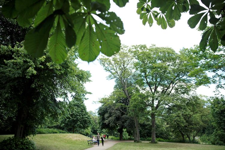 Foto: Jens Dresling/POLFOTO