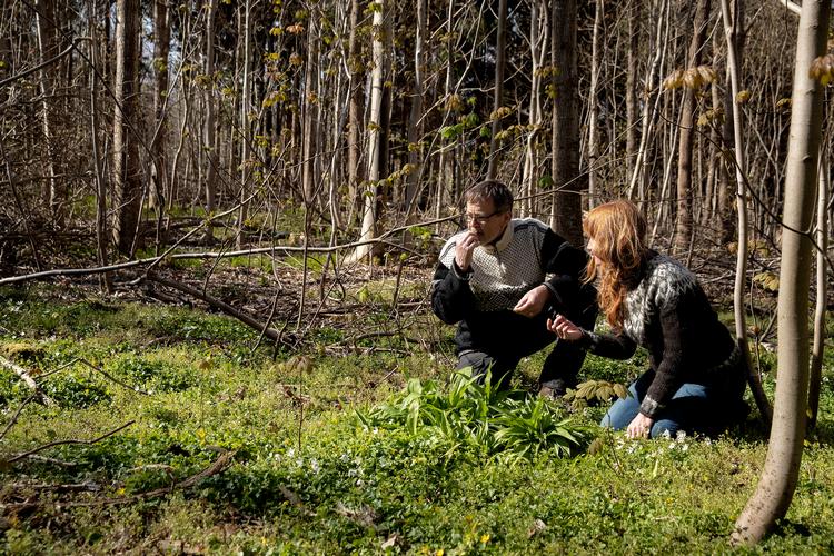 Med naturvejleder Jørgen Stolz ved sin side er Karina Demuth taget i skoven på jagt efter spiselige urter.  Foto: Peter Hove Olesen/POLFOTO