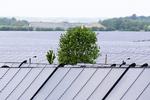 Coronakrisen vil formentlig resultere i det største fald i den globale CO2-udledning siden Anden Verdenskrig. Foto: Finn Frandsen/POLFOTO