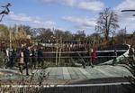 Pandaanlægget i Københavns Zoo da det blev åbnet for offentligheden for et år siden.  Foto: Jonas Olufson