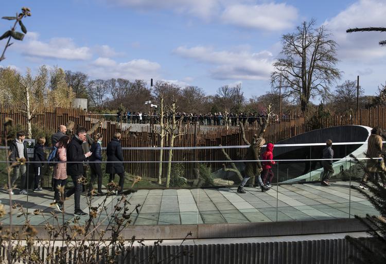 Pandaanlægget i Københavns Zoo da det blev åbnet for offentligheden for et år siden.  Foto: Jonas Olufson