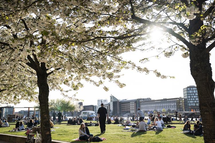     Københavnere nyder det varme forårsvejr på Island Brygge i København.  Foto: Martin Sylvest/Ritzau Scanpix