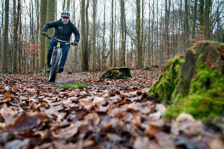 I Boserup Skov ved Nationalpark Skjoldungernes Land har man opsat skilte med forskellige informationer til et afbræk ved en mountainbike-rute. Skiltene skal gøre brugerne klogere, mens de dyrker sport i skoven.T Foto: Stine Bidstrup