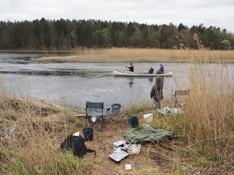 Selvom det er særligt populært at ro i kano på den 176 kilometer lange Gudenå om sommeren, kan man i løbet af alle årstider se folk padle på Danmarks længste å.  Foto: Maria Skjødt