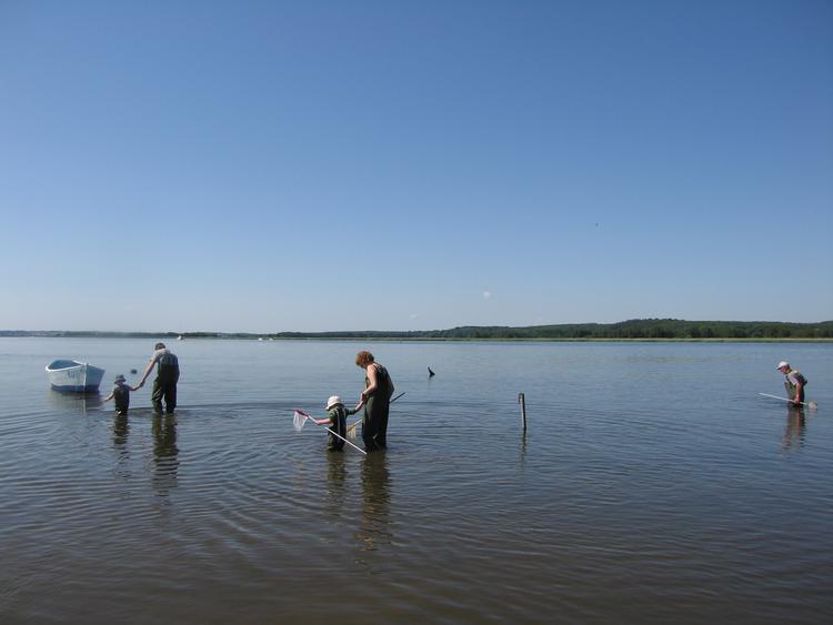 I Kyst- og Fjordcentret ved Randers Fjord kan familien udforske friluftslivet. Foto: Kyst- og Fjordcentret