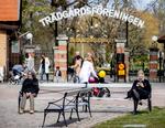 Yderligere 67 personer i Sverige smittet med coronavirus er registreret døde det seneste døgn. Foto: Tt News Agency/Ritzau Scanpix