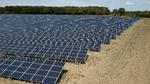 Solcelleanlæg ved Tureby på Sydsjælland. Foto: Jens Dresling/POLFOTO
