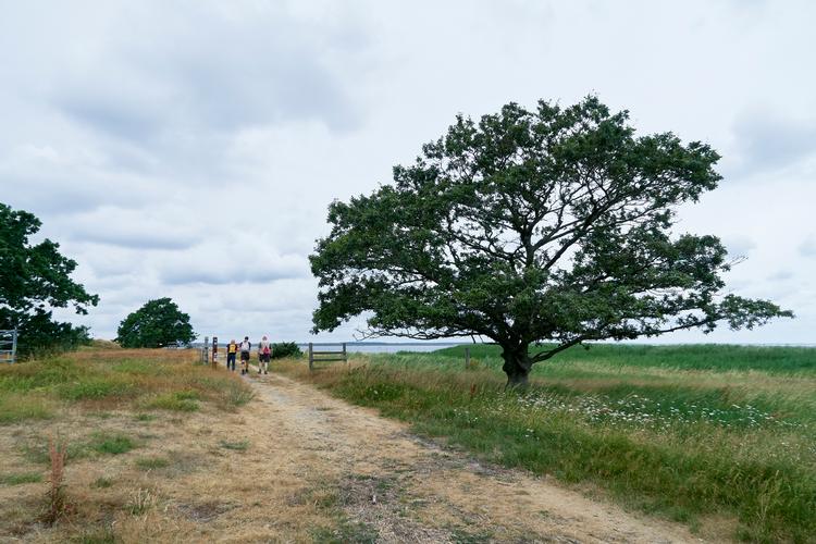 Foto: Morten Langkilde