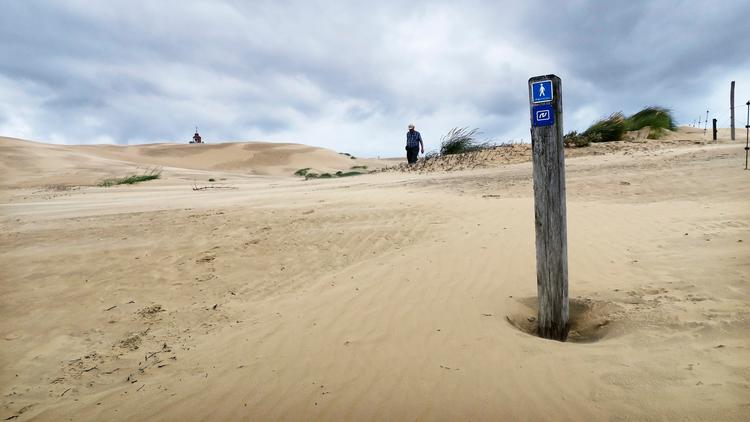 Vandreklitten Rubjerg Knude på Vestkysten mellem Lønstrup og Løkken er op til 90 meter høj, men alligevel forholdsvis nem at bestige. Foto: Morten Langkilde/POLFOTO