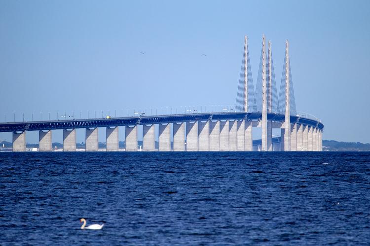 Grænselukningen mod Sverige, som ikke er blevet anbefalet af sundhedsmyndighederne, risikerer at påføre varige skader til samarbejdet over Øresund, advarer svenske arbejdsgivere. Foto: Finn Frandsen Foto: Finn Frandsen/POLFOTO
