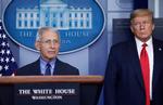 Anthony Fauci og Donald Trump fotograferet ved et tidligere pressemøde.  Foto: Leah Millis/Ritzau Scanpix
