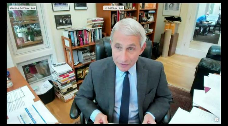 Viruseksperten oktor Anthony Fauci vidner for senatorerne fra sin stue, hvor han sidder i karantæne efter at have væet i kontakt med en smittet.  Foto: Handout/Ritzau Scanpix