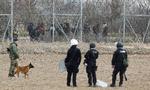 Græske grænsevagter og en soldat holder vagt ved den græsk-tyrkiske grænse 4. marts 2020. På den anden side samler migranter sig, som gerne vil ind i EU gennem Grækenland. Foto: Florion Goga/Ritzau Scanpix