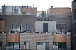 I nybyggeri som her i Nordhavn i København kommer langt den største del af klimabelastningen fra de materialer, der anvendes. Energiforbruget i den færdige bygning betyder mindre. Foto: Jens Dresling/POLFOTO