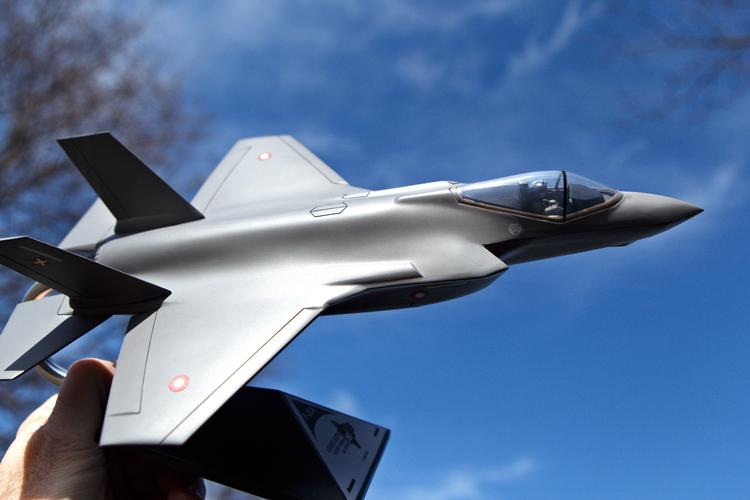 Terma er blandt andet kendt for at producere dele tiF-16 fly og det nye kampfly F-35.   Foto: Jens Dresling/POLFOTO