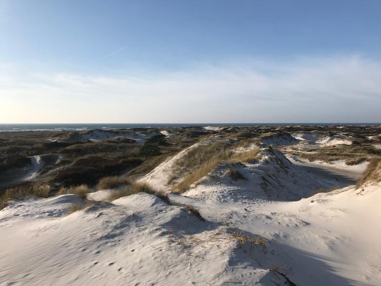 I klitlandskabet ved Dueodde kan du hurtigt forsvinde fra mængden. 