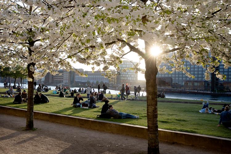 Foto: Finn Frandsen/POLFOTO