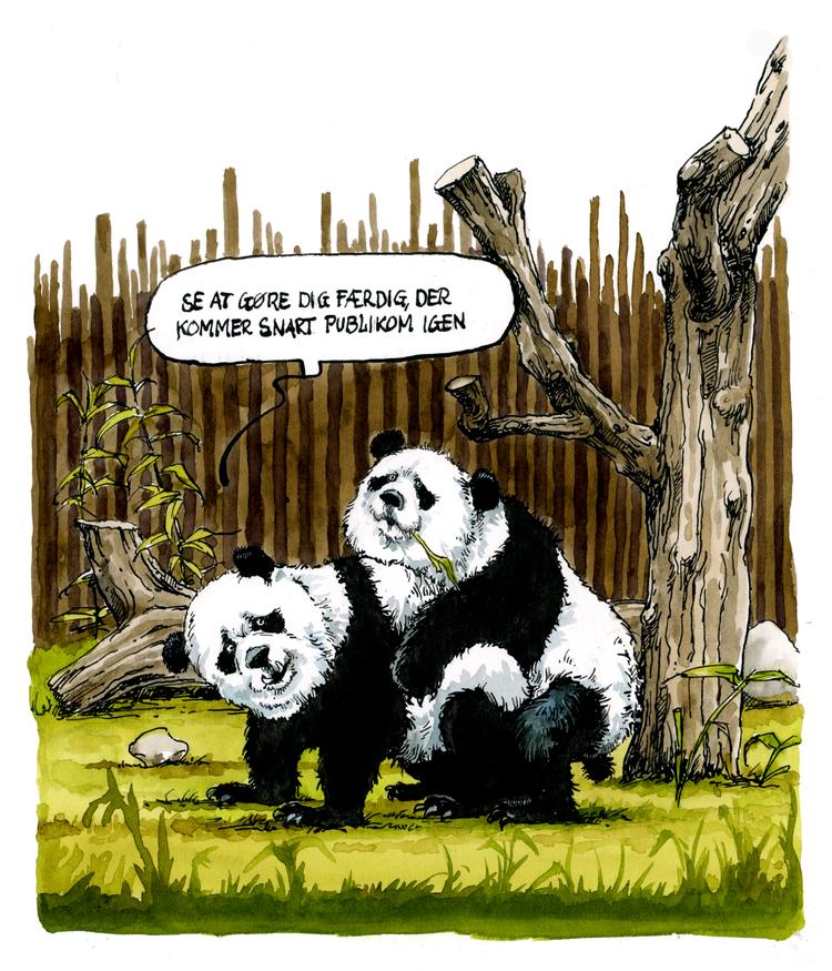 Foto: Roald Als/POLITIKEN