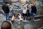 Børnene Gry og Louis har med deres forældre Mikkel Hesse og Karina Søndergaard årskort til zoologisk have. Lørdag fik de igen lov at bruge det.  Foto: Finn Frandsen/POLFOTO