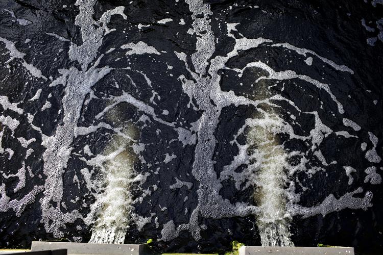 Foto: Miriam Dalsgaard/POLFOTO