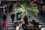 Mange butikker, restauranter og storcentre, her Rødovre Centrum, er genåbnet. Nu skal der udarbejdes en plan for udfasning af regeringens hjælpepakker. Foto: Martin Lehmann Foto: Martin Lehmann/POLFOTO