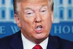 Trump raser mod Twitter, der har faktatjekket hans tweets. Foto: Mandel Ngan/Ritzau Scanpix