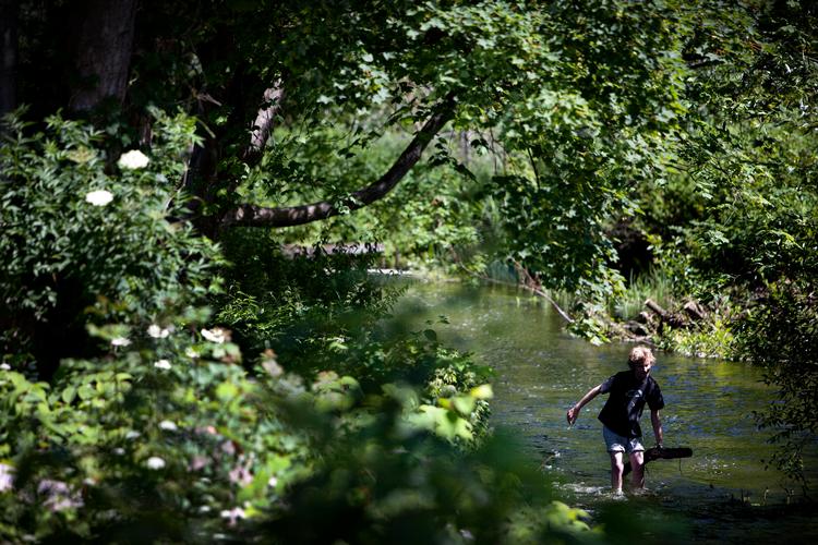  Mølleådalen Naturpark er  ud af 14 steder, som giver skønne og specielle naturoplevelser ifølge Frluftsrådet Foto: Niels Hougaard/POLFOTO