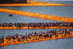 Ved Iseo-søen i Italien blev broerne pakket ind i 70.000 kvadratmeter gult stof i 2016. Værket blev kaldt 'The Floating Piers' og blev et af Christos sidste værker.  Foto: Wolfgang Rattay/Ritzau Scanpix